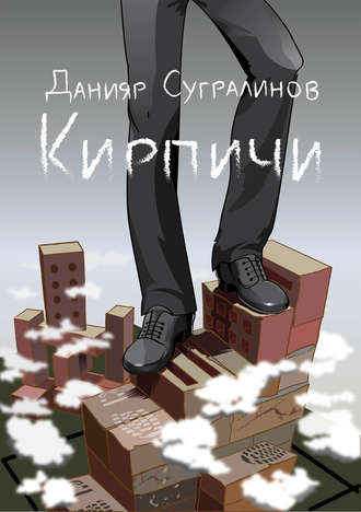 Кирпичи 1