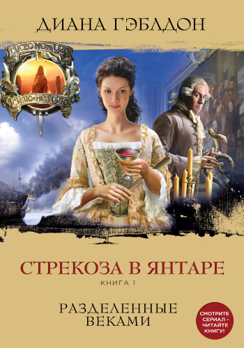 Стрекоза в янтаре. Разделенные веками
