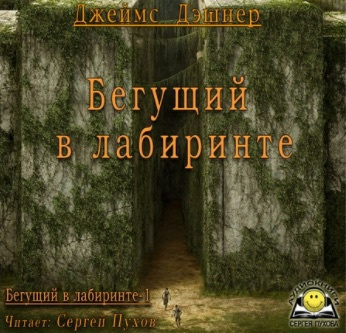 Бегущий в лабиринте