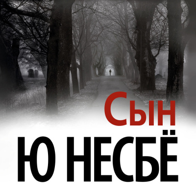 Несбе Ю – Сын