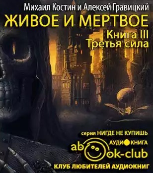 Костин Михаил, Гравицкий Алексей – Третья сила