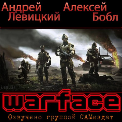 Левицкий Андрей, Бобл Алексей – Warface