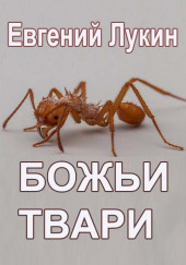 Божьи твари