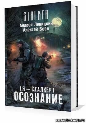 Левицкий Андрей, Бобл Алексей – Сталкер. Осознание