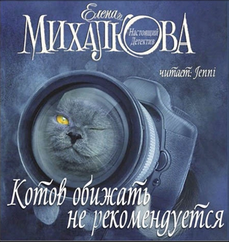 Котов обижать не рекомендуется