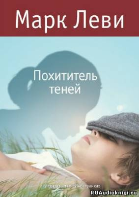 Похититель теней