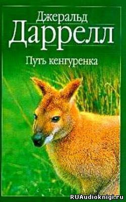 Путь кенгуренка