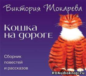 Кошка на дороге