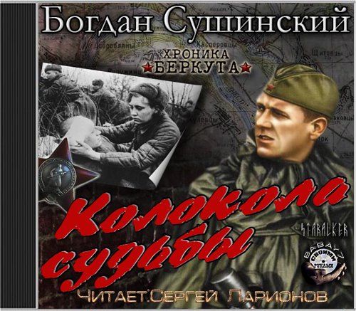 Беркута