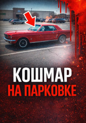 34 года поиска
