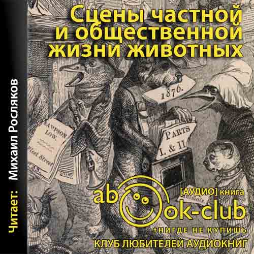 Сцены частной и общественной жизни животных
