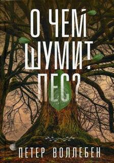 О чём шумит лес?