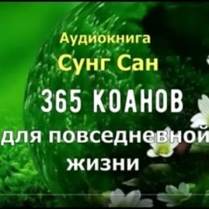 один цветок. 365 коанов для повседневной жизни