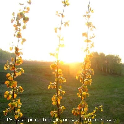 Сборник рассказов