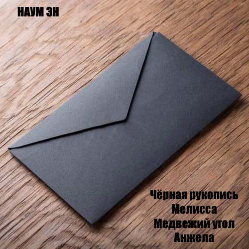 Чёрная рукопись, Мелисса, Медвежий угол, Анжела