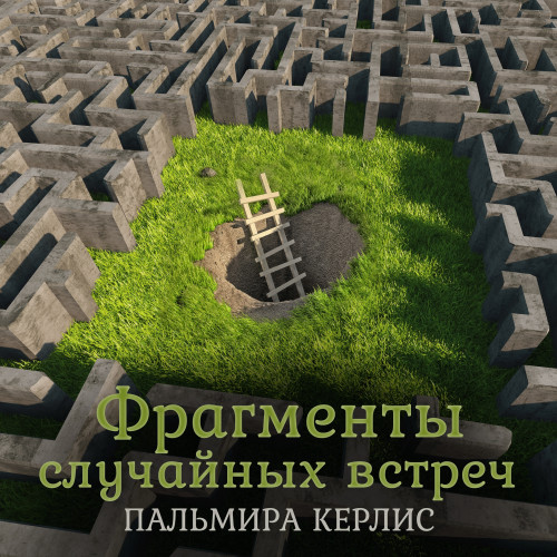 Фрагменты случайных встреч