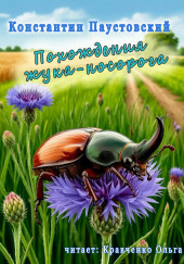 Похождения жука-носорога
