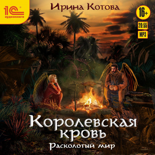 Расколотый мир