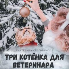 Три котёнка для ветеринара