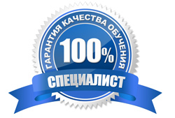 Бухгалтерский учет 2012. Теория и практика