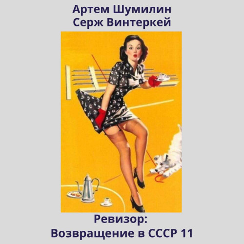 возвращение в СССР