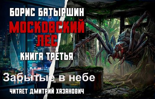 Забытые в небе