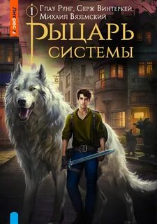 Рыцарь системы
