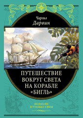 Бигль