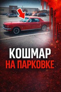 34 года поиска