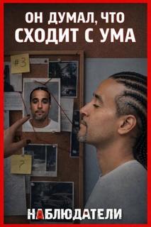 Двойник за решёткой