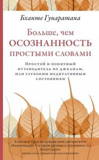 Больше, чем осознанность простыми словами. Простой и понятный путеводитель по джханам, или глубоким