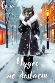 Котофэнтези. Когда молчит магия Чудес не бывает