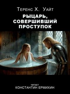 Король Былого и Грядущего Рыцарь, совершивший проступок