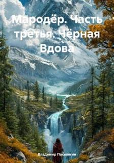 Мародёр Чёрная Вдова