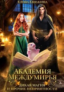 Дикая магия Академия Междумирья. Дикая магия и прочие неприятности