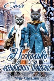 Котофэнтези. Когда молчит магия Несколько мгновений вместе