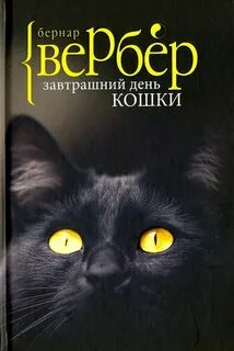 Кошки Завтрашний день кошки