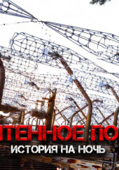 Антенное поле