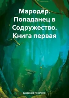 Мародёр Попаданец в Содружество