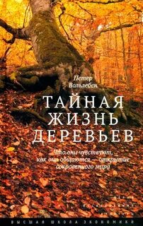 Тайная жизнь деревьев. Что они чувствуют, как они общаются – открытие сокровенного мира