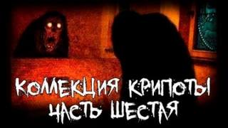 Коллекция крипоты