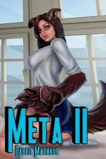 МЕТА Мета II
