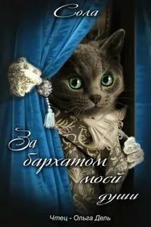 Котофэнтези. Когда молчит магия За бархатом моей души