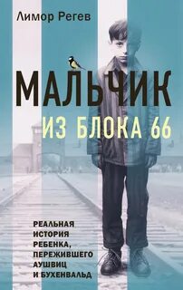 Мальчик из Блока Реальная история ребенка, пережившего Аушвиц и Бухенвальд