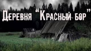 Красный бор