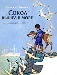 Сокол