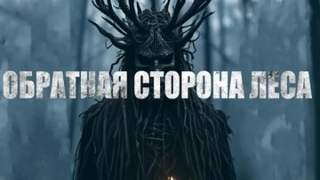Обратная сторона зеркал Обратная сторона леса