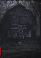 Берёзы