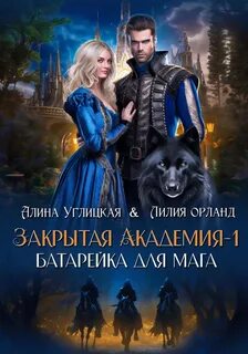 Закрытая академия Батарейка для мага