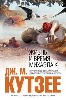 Жизнь и время Михаэла К